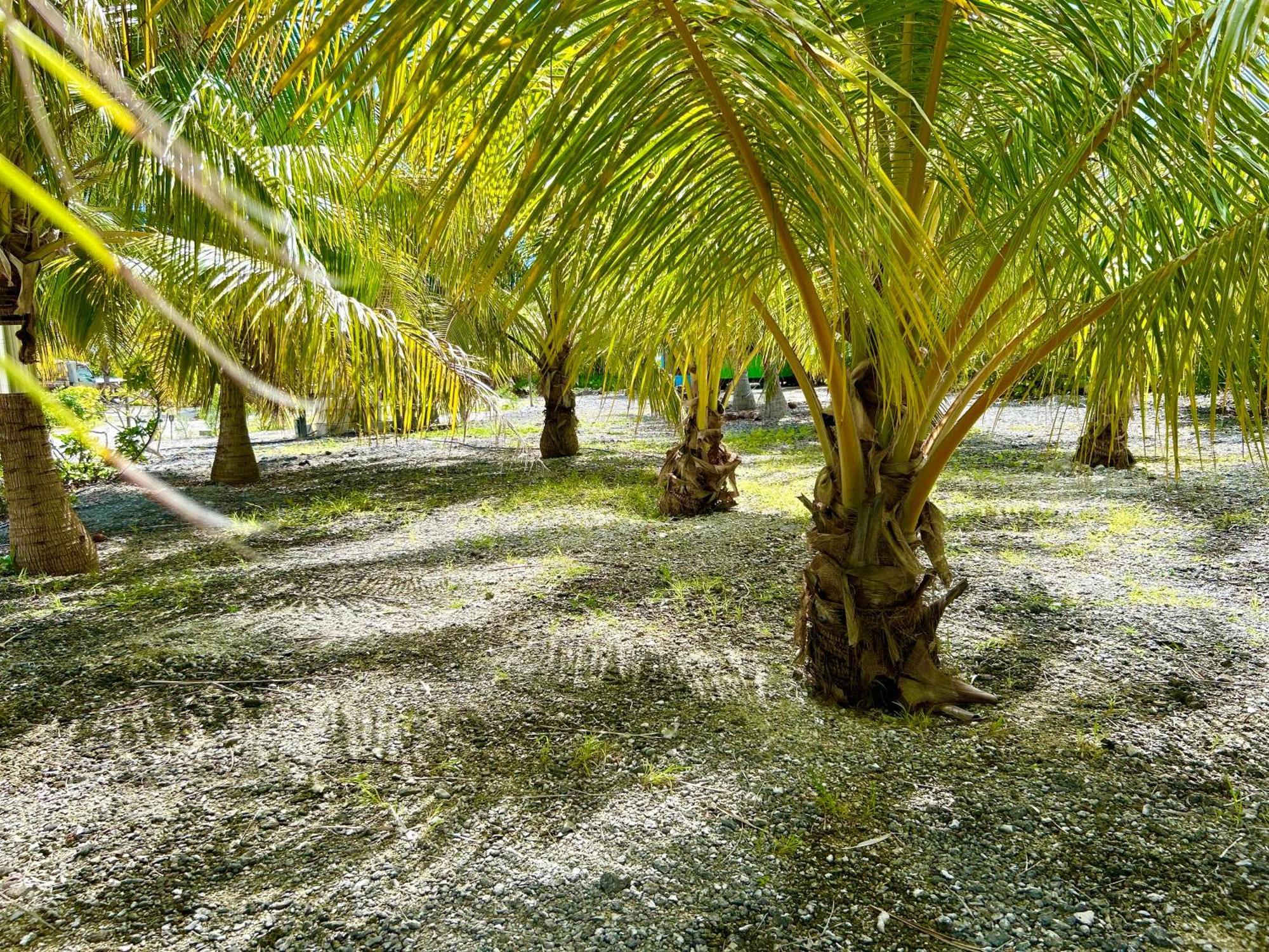 Rangiroa Bliss Hotel Tiputa Luaran gambar
