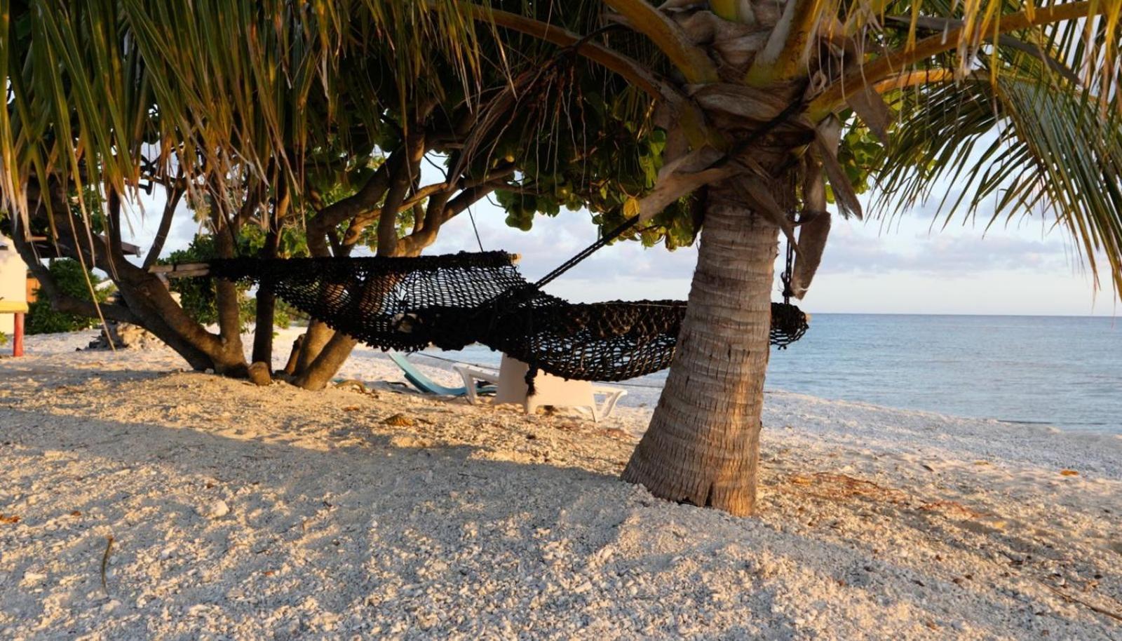 Rangiroa Bliss Hotel Tiputa Luaran gambar